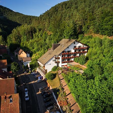Hotel Die Kleine Blume Erfweiler Exterior foto