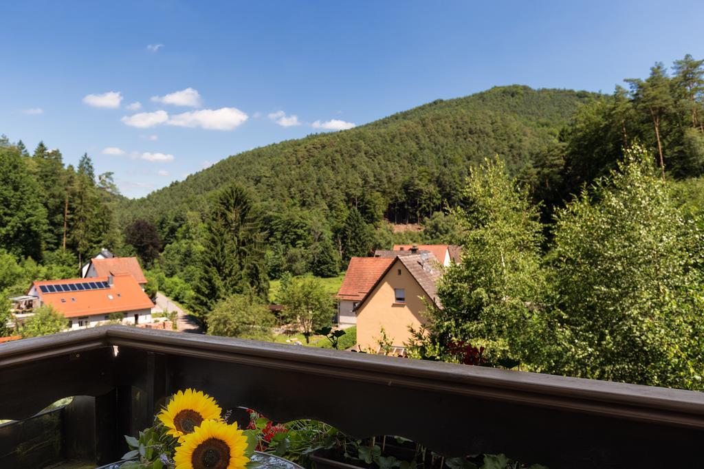 Hotel Die Kleine Blume Erfweiler Exterior foto