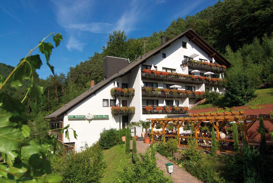 Hotel Die Kleine Blume Erfweiler Exterior foto